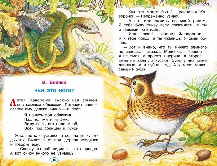 Библиотека начальной школы - Рассказы о природе  